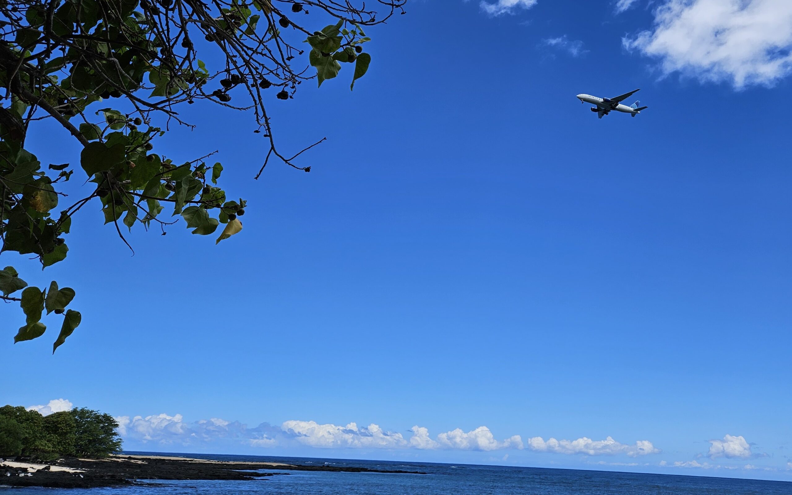travel to hawaii using airline miles